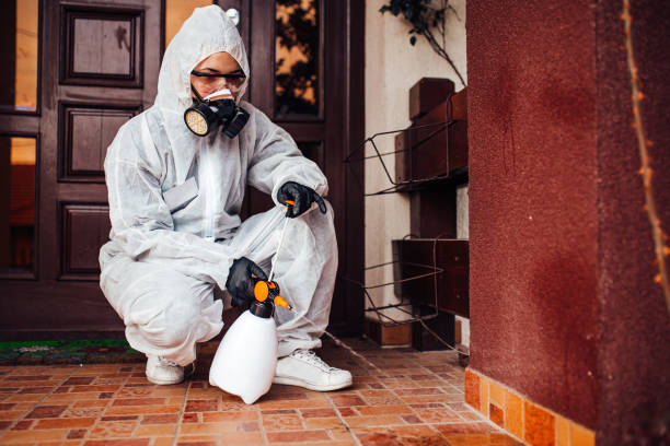 Reliable Wasp Removal contractor in Gordon Heights, NY by Show Me Pest Control